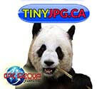 Panda Tinyjpg.ca compress your pics magickey Network